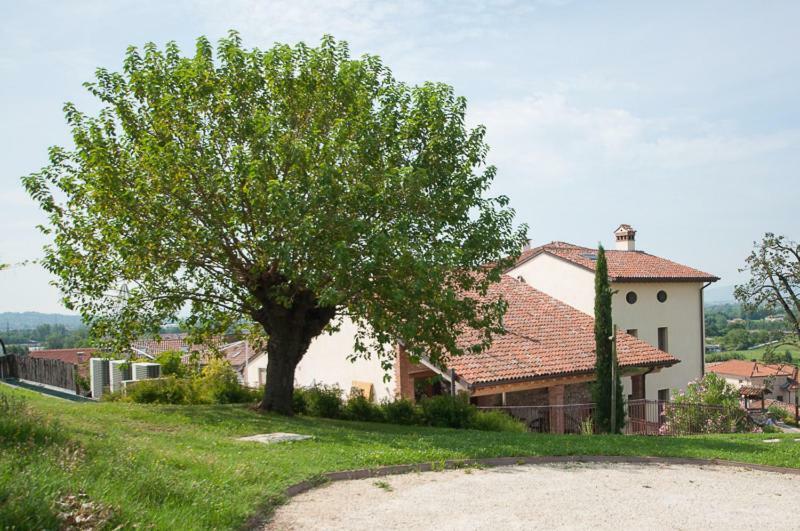 Villa La Costa Fattoria Sociale Sarcedo Exterior foto